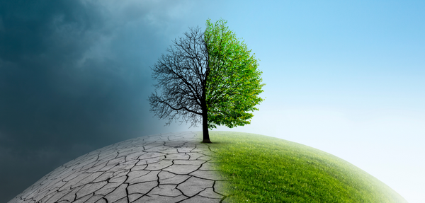 Environmental Law in New Zealand: the Current State of Play